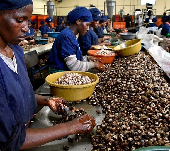 Agriculture, Food & Global Trade